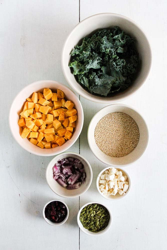 ingredients for fall quinoa salad: kale, squash, quinoa, pumpkin seeds, feta, cranberries, red onion